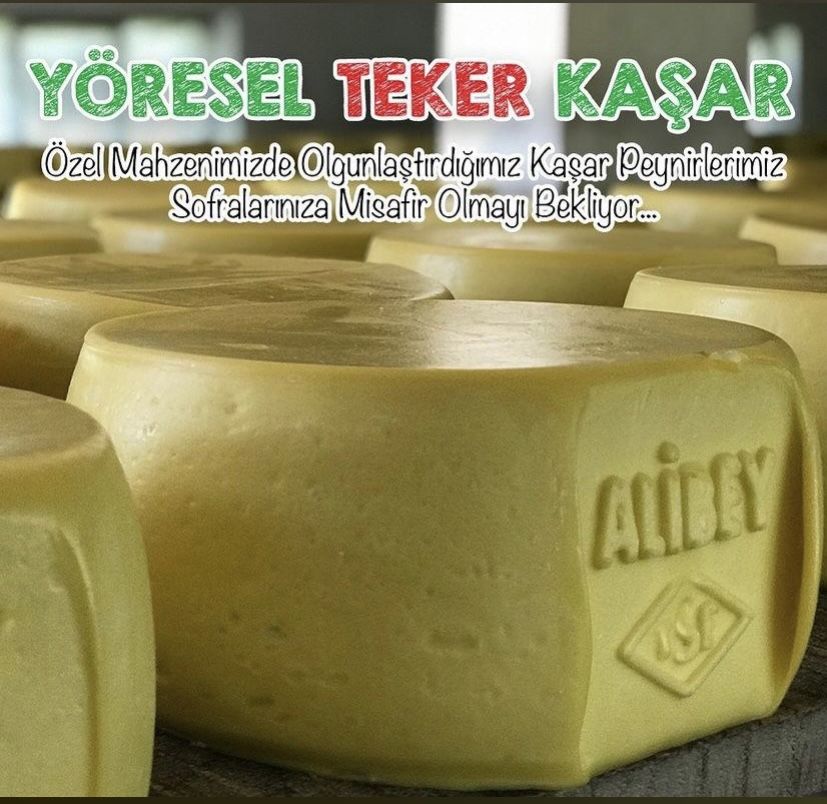 Taze Kaşar Peyniri 14-14,5KG